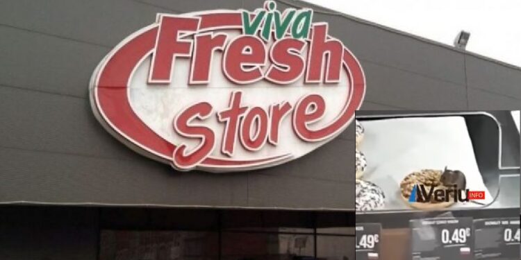 Skandaloze: Miu duke ngrënë ëmbëlsirë në frigoriferin e Viva Fresh në Vushtrri (VIDEO)