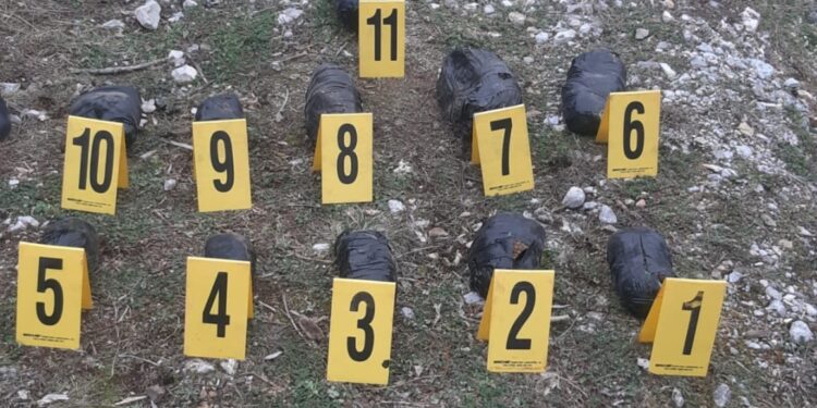 Policia gjen mbi gjashtë kilogramë drogë të fshehur nën gurë në kufirin e Vërmicës