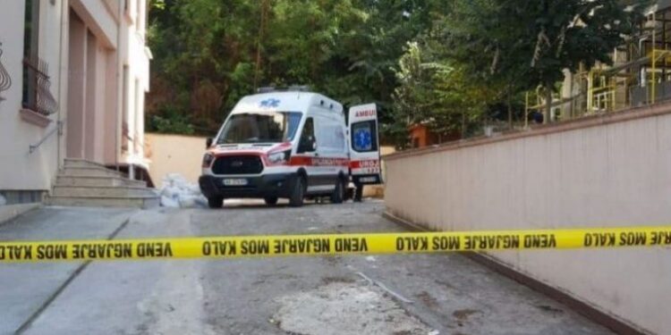 E rëndë: Gjendet e ngrirë në bahçen e shtëpisë nëna e 5 fëmijëve