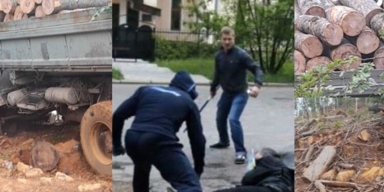 Arrestohet B.S. pasi rrahu viktimën M.K. në Skenderaj për prerje pylli