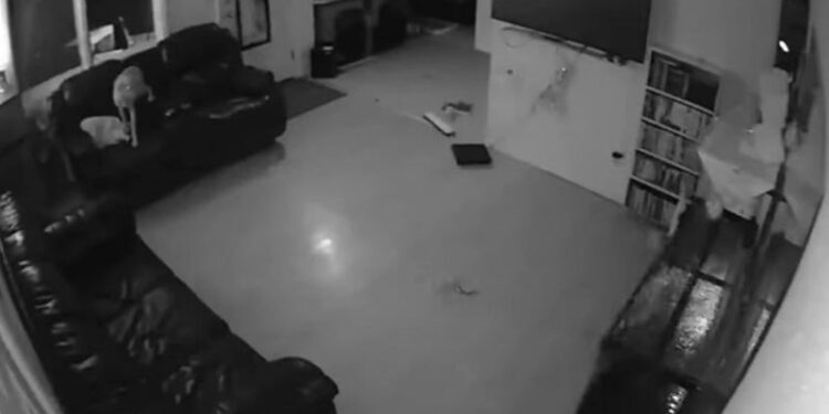 Tërmeti në Greqi, dalin pamjet e dridhjes së tokës (VIDEO)