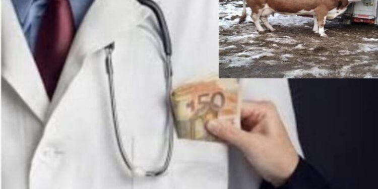 “Shite lopën e shpëtone babën në spital privat”- kërkesa skandaloze e mjekut kosovar ndaj djemve të pacientit që nuk kishin para
