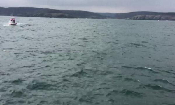 E kishin paralajmëruar rusët, mina “ukrainase” pranë Bosforit alarmon turqit
