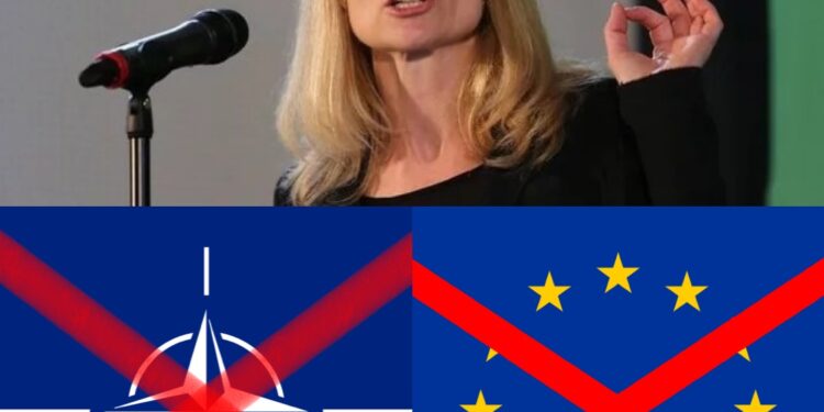 Von Cramon ia “këput” shpresat Kosovës për BE dhe NATO