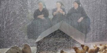 Kjo është historia e legjendës “Po shkunden plakat”