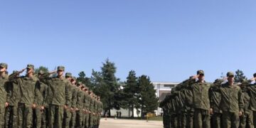 Kurti tregon se sa para janë mbledhur deri tani për Fondin e Sigurisë