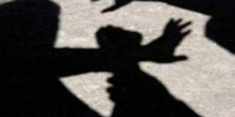 Për një palë patika shitësi e kap për fyti klientin në Tregun e Gjelbër në Mitrovicë