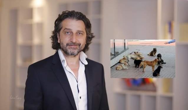 Përparim Rama: Do t’i ushqejmë qentë endacakë që të mos na sulmojnë