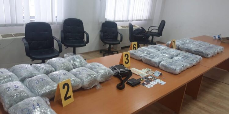 Policia godet 5 kultivuesit e drogës në Vaganicë, i gjen 56 kilogramë marihuanë dhe 10,507€