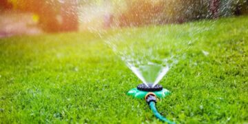 Kur duhet të filloni ujitjen e bimëve të kopshtit në pranverë?