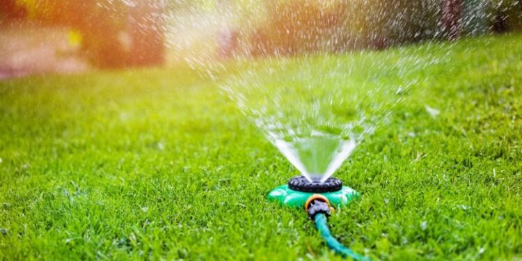 Kur duhet të filloni ujitjen e bimëve të kopshtit në pranverë?