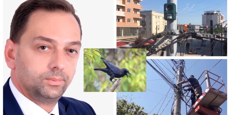 Interesante: Komuna e Skënderajt i vendos në qytet aparaturat në vlerë prej 10 mijë euro për largimin e sorrave nga qyteti