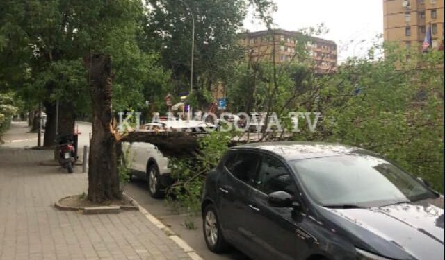 PAMJE APOKALIPTIKE: Era rrëzon lisin mbi dy vetura në Prishtinë (VIDEO)