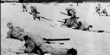 Kjo është fuqia ushtarake e Finlandës dhe Suedisë