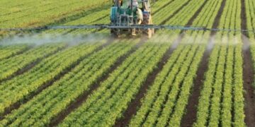 Ky fshat njihet me banoret me të vyer në Kosovë