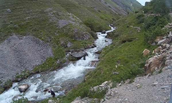 E frikshme: Policia jep detaje se si ra fëmiu në lumë ku më pas ndërroi jetë