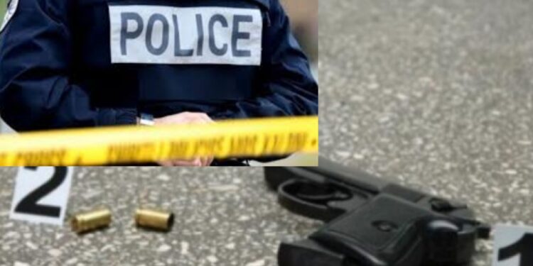 Ky është motivi që solli ngatërresën mes vëllezërve në fshatin Gushtericë, ku për pasojë zyrtari policor vrau vëllain