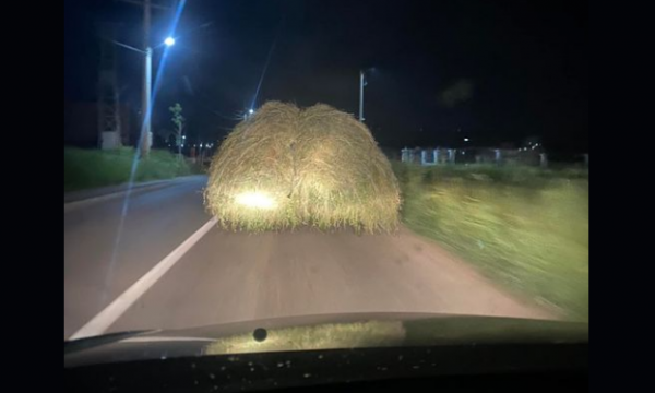 Deputeti i VV-së has në një traktor me sanë: Vendose një trekëndësh o mixhë se i merr n’qafë të tjerët