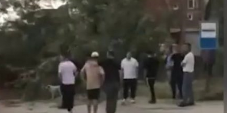 Rrëzohet edhe një lis në këtë qytet të Kosovës, shkak erërat e forta