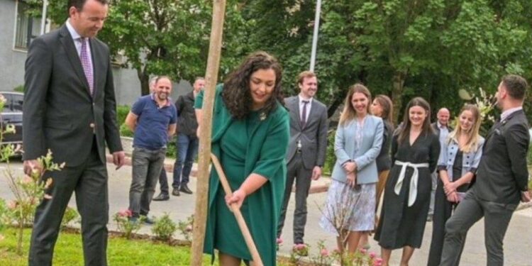 Çka është ‘Manuka’, druri që pritet të mbjellët për herë të parë në Kosovë nga presidentja