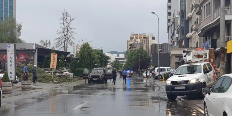 Stuhia tragjike në Prishtinë: Kjo është gjendja shëndetësore e gruas që u lëndua pasi e zuri lisi