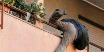 Vdes biznesmeni, bie nga kati i katërt për t’i shpëtuar burrit të dashurës së tij