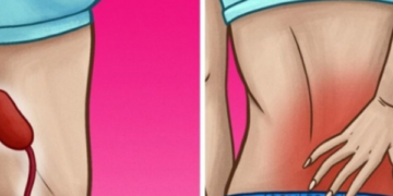 Ky është ilaçi natyral për veshkat e pastra