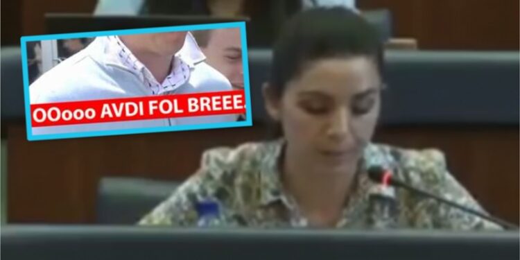 ‘O Avdi fol bre’: Deputetja e VV’së ‘djersitet’ duke e lexuar fjalimin dhe prapë s’kuptohet asgjë