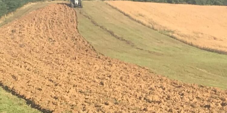 Ujku i hidhet bujkut kosovar në traktor