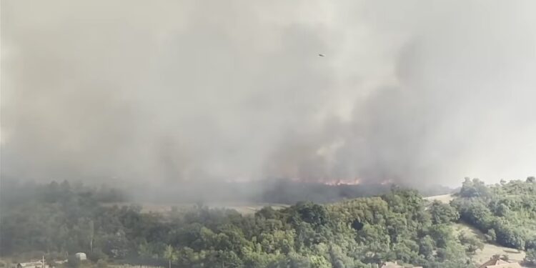 E frikshme: “Hiqi fminë prej shpije”, panik tek banorët në Zasellë, zjarri shumë pranë shtëpive