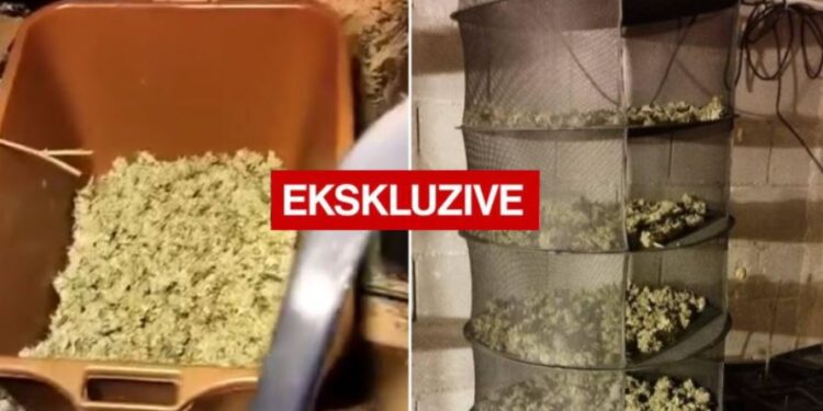 Lista me emrat e të gjithë të arrestuarve gjatë aksionit ku u kapën 50 kg drogë në veri