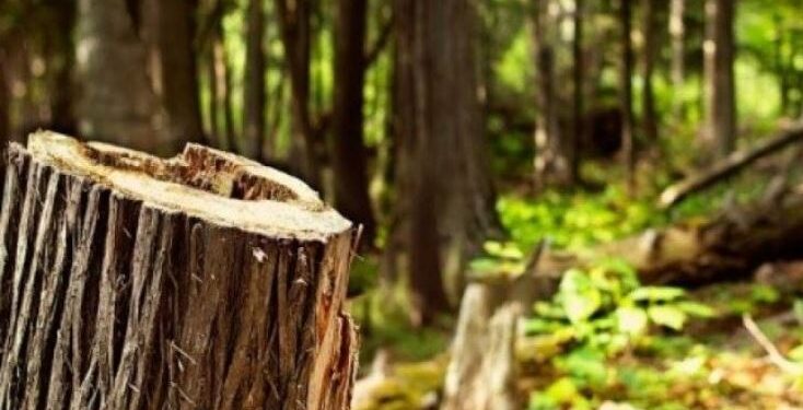 Publikohet fotoja e 39-vjeçarit që vdiq tragjikisht në Gjilan