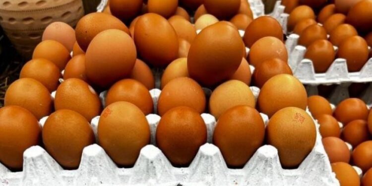 Rritet çmimi, një komplet vezë gati 5 euro