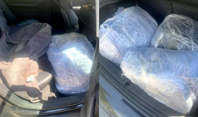 Operacioni “goditja”, policia konfiskon rreth 30 kg marihuanë në Prishtinë
