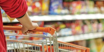 Tregtia me pakicë, më së shumti të punësuar në dyqane jo të specializuara