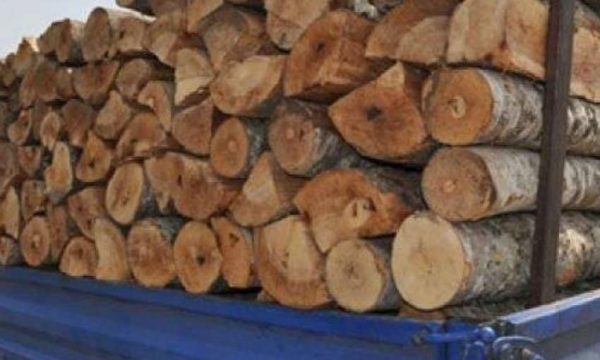 Policia “godet” rëndë krimin në Pejë: Kap 4 metra dru pa leje
