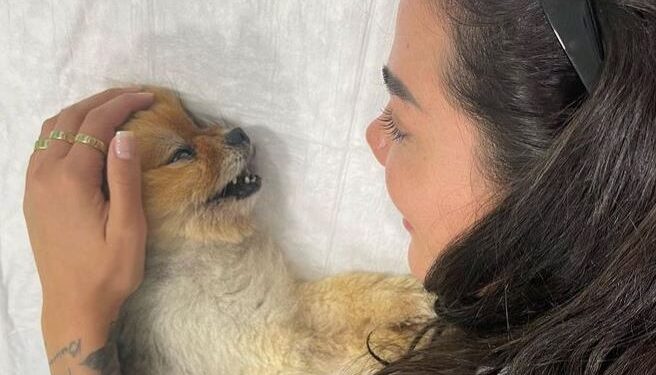 Morena Taraku viziton varrin e qenit: Të lutem vazhdo të qëndrosh pranë meje (FOTO)