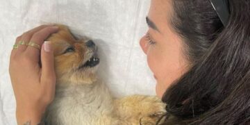 Morena Taraku viziton varrin e qenit: Të lutem vazhdo të qëndrosh pranë meje (FOTO)