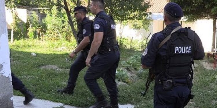 Policia zbarkon në shtëpinë e 48-vjeçarit pas denoncimit për dhunë, i gjejnë armë
