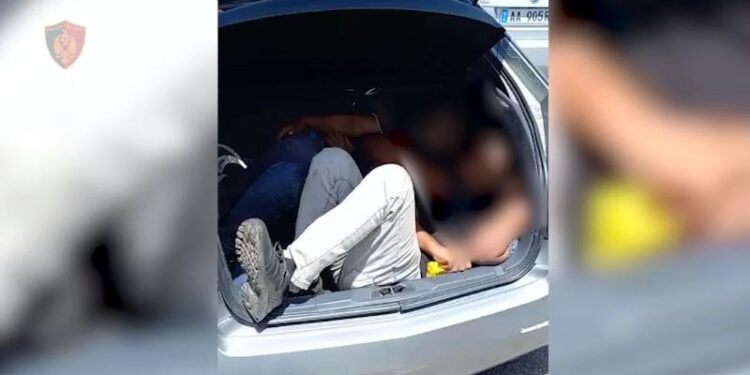 Goditen 4 raste të transportimit të emigrantëve të paligjshëm drejt Kosovës
