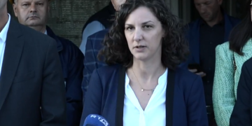 ​Qeveria do ta ndalojë eksportin e peletit dhe lëndëve të tjera djegëse me bazë druri