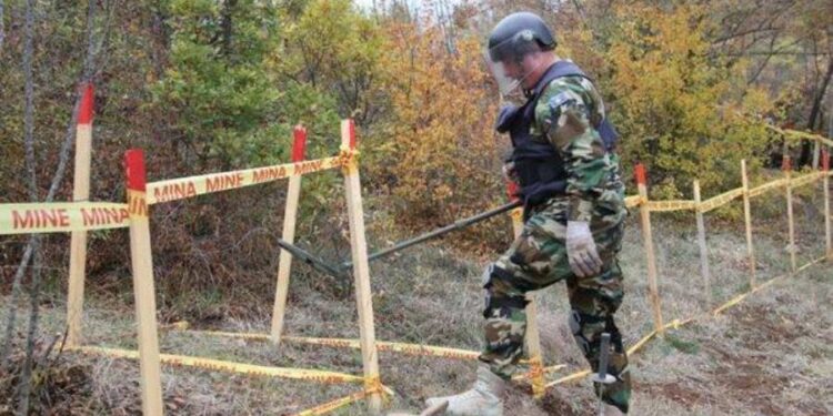 KFOR e FSK zbulojnë bomba të groposura në fshatin Bajgorë të Mitrovicës