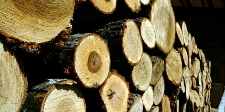 Thellohet kriza në Kosovë: Një metër dru, shkon deri në 100 euro