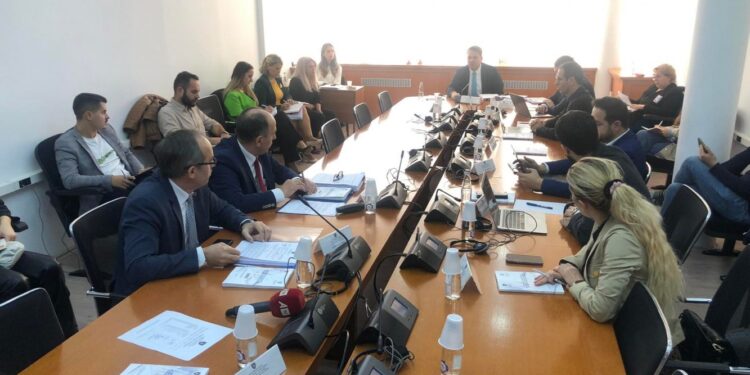 Hoti e Murati përplasen në Komisionin për Buxhet: Kur flisni me mua bëhuni serioz, mos qeshni