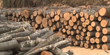 Krejt çka duhet të dini që të përfitoni nga fondi 6 milionesh i Qeverisë për energjinë