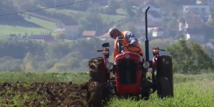 Një ditë brenda burgut të hapur të Smrekonicës, aty ku të burgosurit sigurojnë vetë bukën (VIDEO)