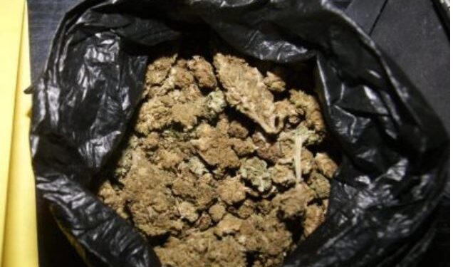 Sekuestrohen mbi 3 kg marihuanë në Malishevë, Policia i gjen qeset me drogë në mes të rrugës