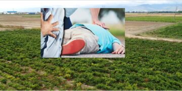 Lajm i rëndë: Një person vdes në fushë derisa po punonte