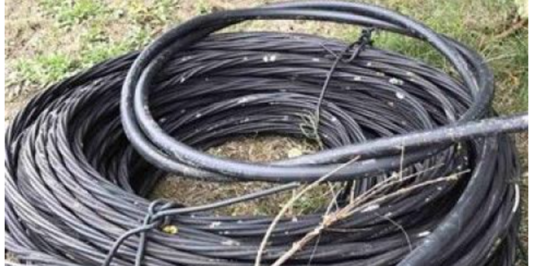 18 vjet burg për kosovarin në Vjenë: Provoi ta vriste gruan me kabllo elektrike