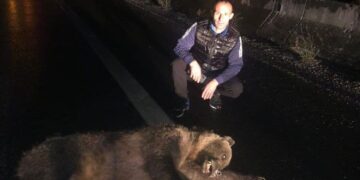 Afrim Isufi rrëfen se si luftoi me ariun në autostradë: E godiste makinën time me grushta, dhe ra në tokë!